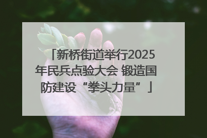 新桥街道举行2025年民兵点验大会 锻造国防建设“拳头力量”