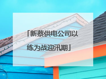 新蔡供电公司以练为战迎汛期