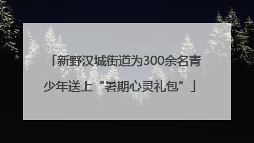 新野汉城街道为300余名青少年送上“暑期心灵礼包”