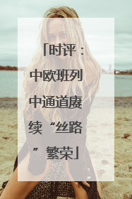 时评：中欧班列中通道赓续“丝路”繁荣
