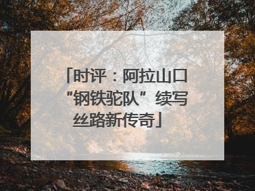 时评：阿拉山口“钢铁驼队”续写丝路新传奇