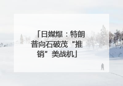 日媒爆：特朗普向石破茂“推销”美战机