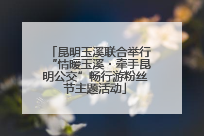 昆明玉溪联合举行“情暖玉溪・牵手昆明公交”畅行游粉丝节主题活动