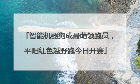 智能机器狗成最萌领跑员，平阳红色越野跑今日开赛