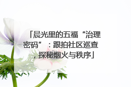 晨光里的五福“治理密码”：跟拍社区巡查，探秘烟火与秩序
