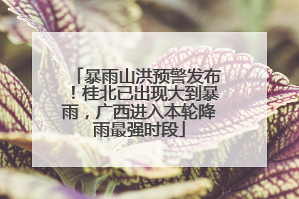 暴雨山洪预警发布！桂北已出现大到暴雨，广西进入本轮降雨最强时段