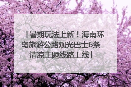 暑期玩法上新！海南环岛旅游公路观光巴士6条清凉主题线路上线