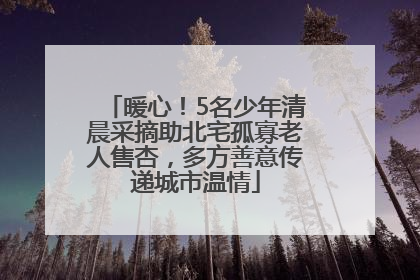 暖心！5名少年清晨采摘助北宅孤寡老人售杏，多方善意传递城市温情