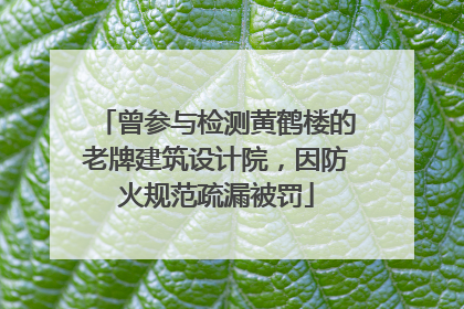 曾参与检测黄鹤楼的老牌建筑设计院，因防火规范疏漏被罚