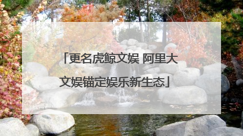 更名虎鲸文娱 阿里大文娱锚定娱乐新生态