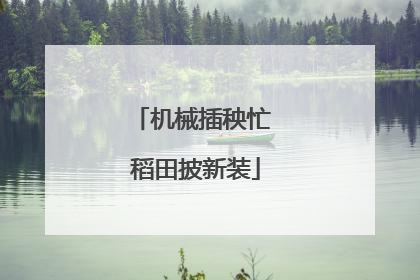 机械插秧忙 稻田披新装