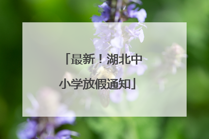 最新！湖北中小学放假通知