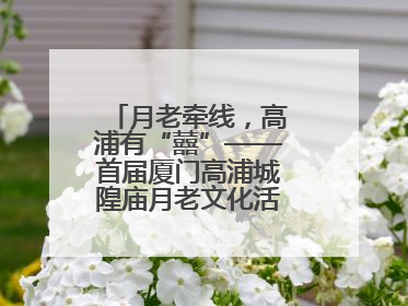 月老牵线，高浦有“囍”——首届厦门高浦城隍庙月老文化活动暨他趣百城见面会隆重举办