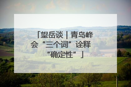望岳谈｜青岛峰会“三个词”诠释“确定性”