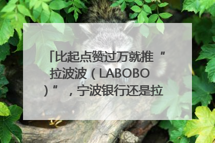 比起点赞过万就推“拉波波（LABOBO）”，宁波银行还是拉业绩吧｜财经辣评