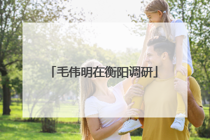 毛伟明在衡阳调研