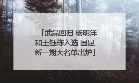 武磊回归 杨明洋和王钰栋入选 国足新一期大名单出炉