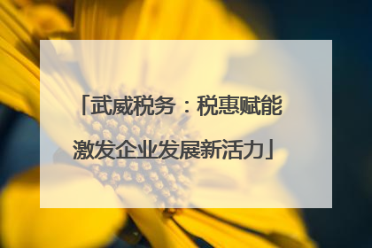 武威税务：税惠赋能 激发企业发展新活力