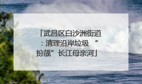 武昌区白沙洲街道：清理沿岸垃圾 “扮靓”长江母亲河