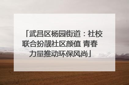 武昌区杨园街道：社校联合扮靓社区颜值 青春力量推动环保风尚