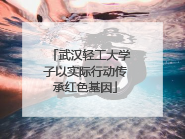 武汉轻工大学子以实际行动传承红色基因