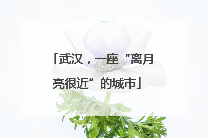武汉，一座“离月亮很近”的城市