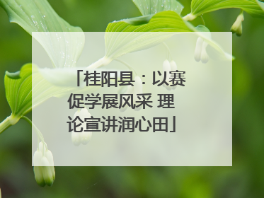 桂阳县：以赛促学展风采 理论宣讲润心田
