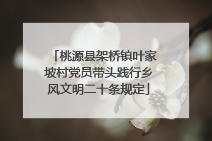 桃源县架桥镇叶家坡村党员带头践行乡风文明二十条规定