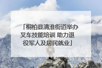 桐柏县清淮街道举办叉车技能培训 助力退役军人及居民就业