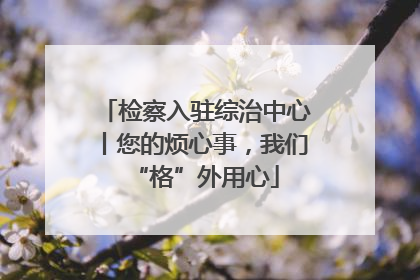 检察入驻综治中心丨您的烦心事，我们“格”外用心