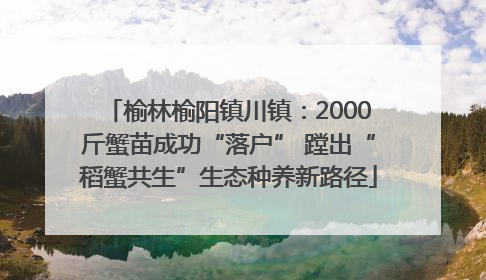 榆林榆阳镇川镇：2000斤蟹苗成功“落户” 蹚出“稻蟹共生”生态种养新路径