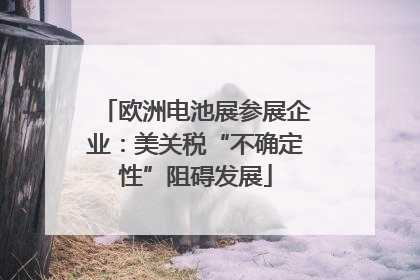 欧洲电池展参展企业：美关税“不确定性”阻碍发展