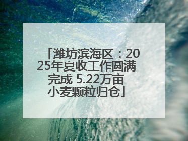 潍坊滨海区：2025年夏收工作圆满完成 5.22万亩小麦颗粒归仓