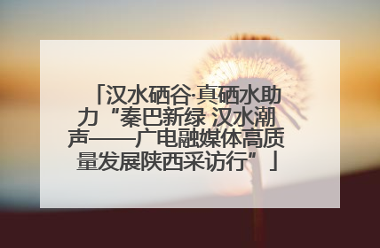 汉水硒谷·真硒水助力“秦巴新绿 汉水潮声——广电融媒体高质量发展陕西采访行”