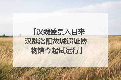 汉魏盛景入目来 汉魏洛阳故城遗址博物馆今起试运行