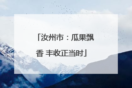 汝州市：瓜果飘香 丰收正当时