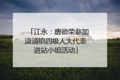 江永：唐德荣参加潇浦镇四级人大代表进站小组活动