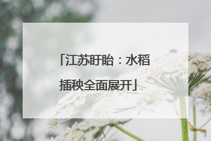 江苏盱眙：水稻插秧全面展开