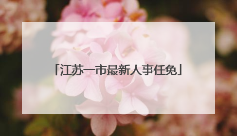 江苏一市最新人事任免
