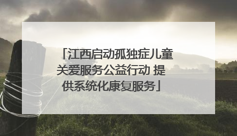 江西启动孤独症儿童关爱服务公益行动 提供系统化康复服务
