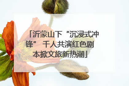 沂蒙山下“沉浸式冲锋” 千人共演红色剧本掀文旅新热潮