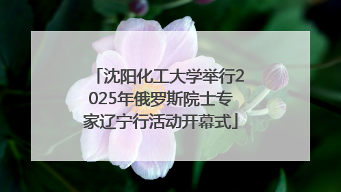 沈阳化工大学举行2025年俄罗斯院士专家辽宁行活动开幕式