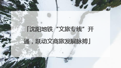 沈阳地铁“文旅专线”开通，跃动文商旅发展脉搏
