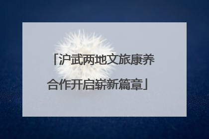 沪武两地文旅康养合作开启崭新篇章
