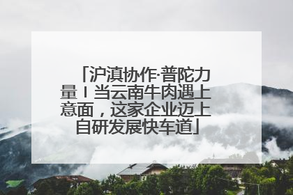 沪滇协作·普陀力量〡当云南牛肉遇上意面，这家企业迈上自研发展快车道