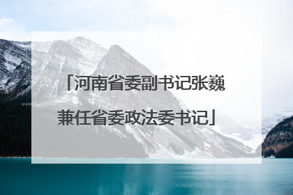 河南省委副书记张巍兼任省委政法委书记