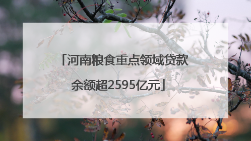 河南粮食重点领域贷款余额超2595亿元
