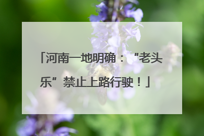 河南一地明确：“老头乐”禁止上路行驶！
