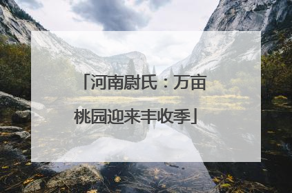 河南尉氏：万亩桃园迎来丰收季