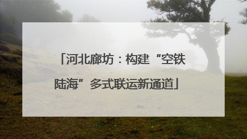 河北廊坊：构建“空铁陆海”多式联运新通道